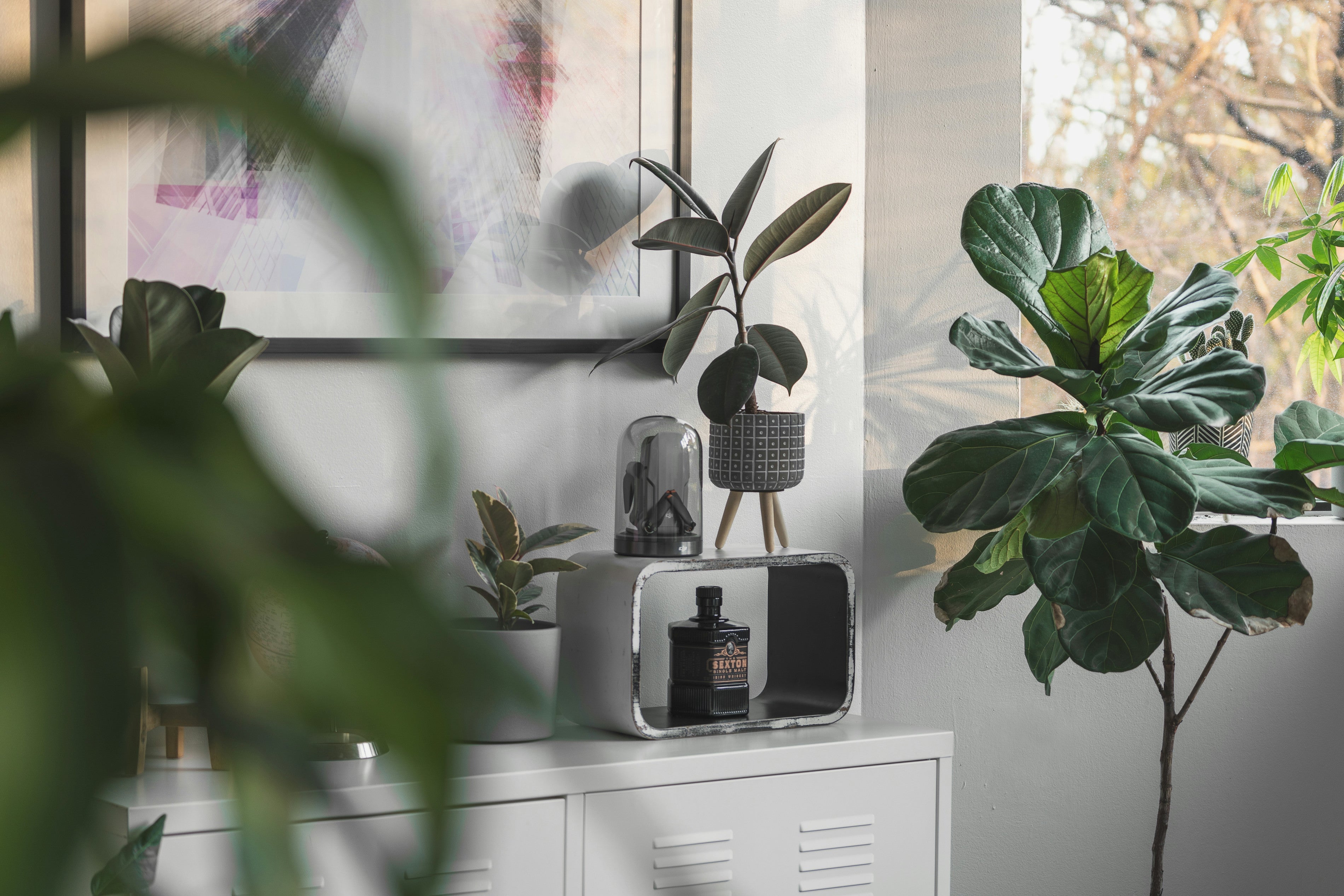 Poster-Trends 2025: Diese Motive und Designs sind jetzt angesagt